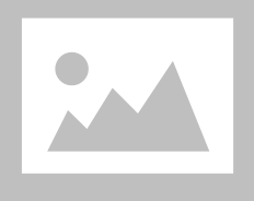 INFINIX ADOPTER 120 WATT 